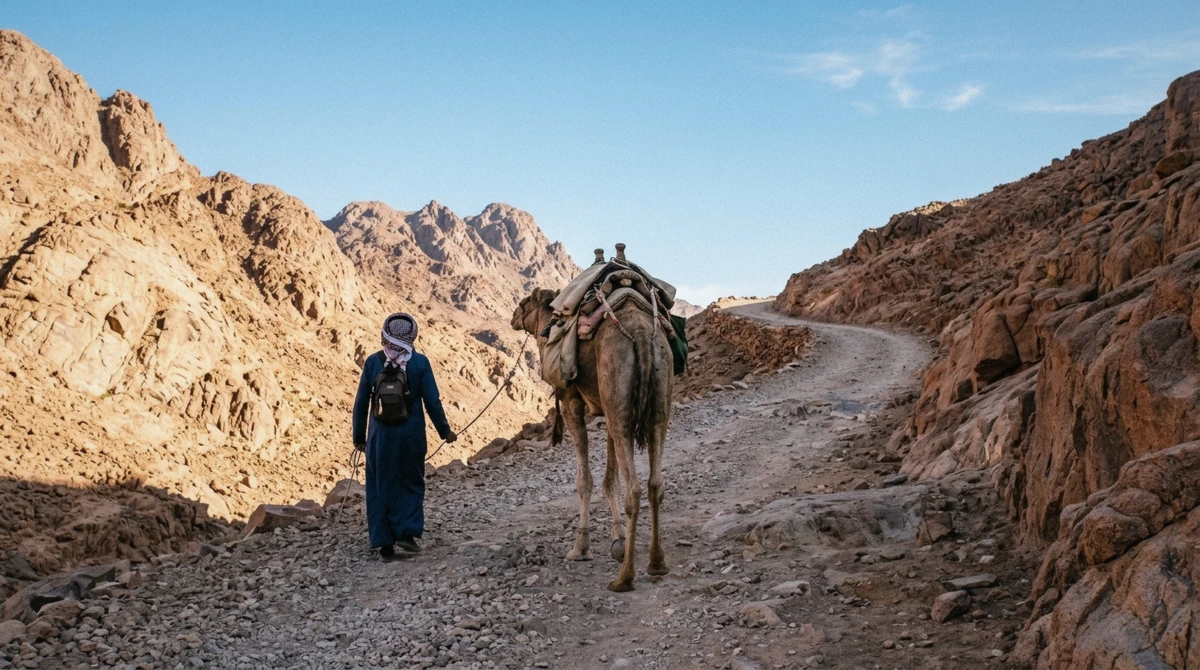 A camel and Bedouin guide waiting on the Mount Sinai path near St Catherine's Monastery in Egypt's Sinai desert